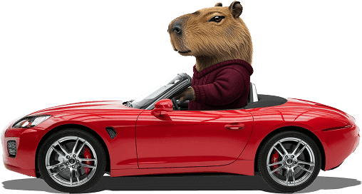 Capybara driving a car